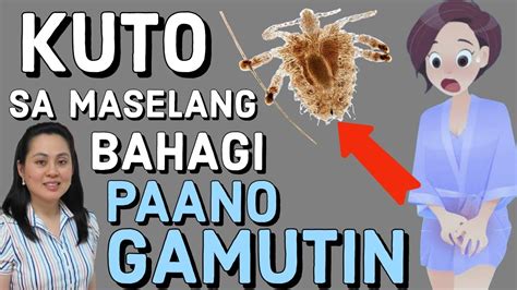 Kuto sa Maselang Bahagi .